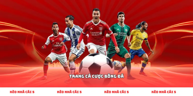 Trang cá cược bóng đá